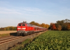 218 448 am 20.10.12 zwischen Salzgitter-Ringelheim und Söderhof.